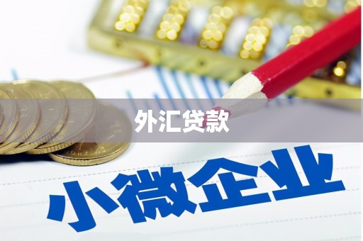 当涂外汇贷款