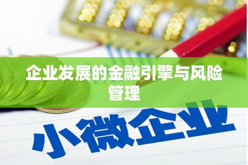 当涂企业发展的金融引擎与风险管理