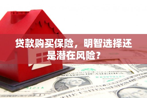 当涂贷款购买保险，明智选择还是潜在风险？