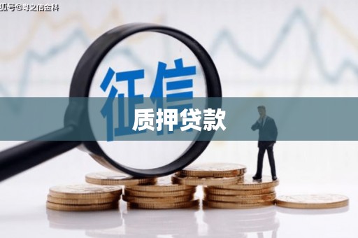 当涂质押贷款