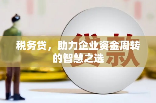 当涂税务贷，助力企业资金周转的智慧之选