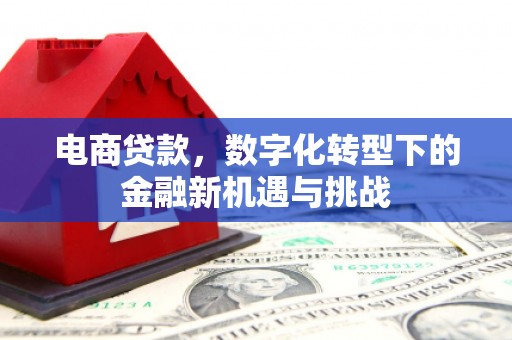 当涂电商贷款，数字化转型下的金融新机遇与挑战