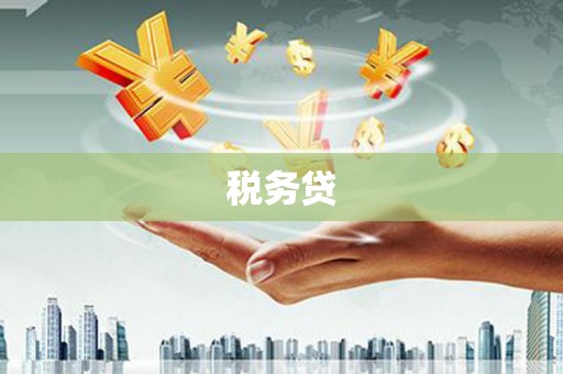 当涂税务贷