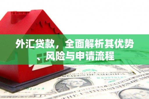 当涂外汇贷款，全面解析其优势、风险与申请流程