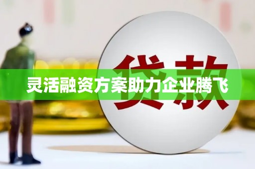 当涂灵活融资方案助力企业腾飞