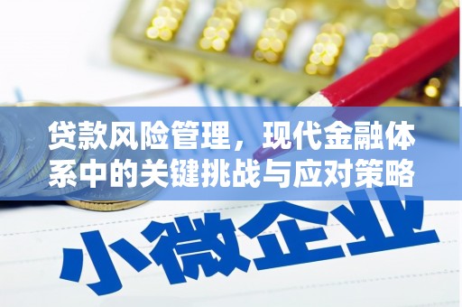 当涂贷款风险管理，现代金融体系中的关键挑战与应对策略