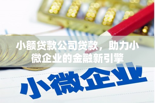 当涂小额贷款公司贷款，助力小微企业的金融新引擎