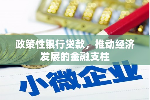 当涂政策性银行贷款，推动经济发展的金融支柱