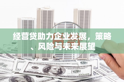 当涂经营贷助力企业发展，策略、风险与未来展望