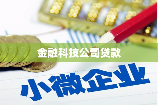 当涂金融科技公司贷款