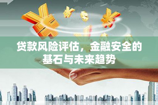 当涂贷款风险评估，金融安全的基石与未来趋势