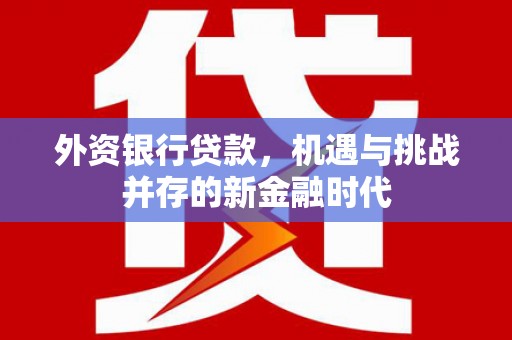 当涂外资银行贷款，机遇与挑战并存的新金融时代