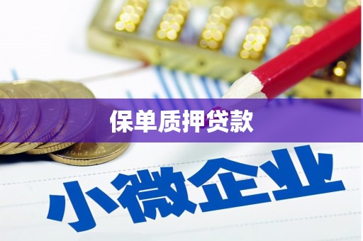 当涂保单质押贷款