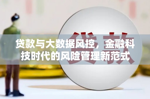 当涂贷款与大数据风控，金融科技时代的风险管理新范式