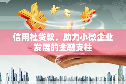 当涂信用社贷款，助力小微企业发展的金融支柱