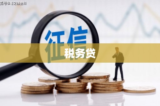 当涂税务贷