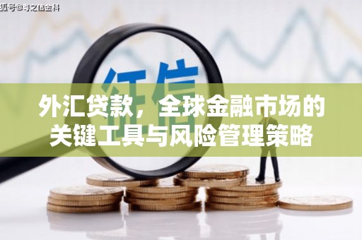 当涂外汇贷款，全球金融市场的关键工具与风险管理策略