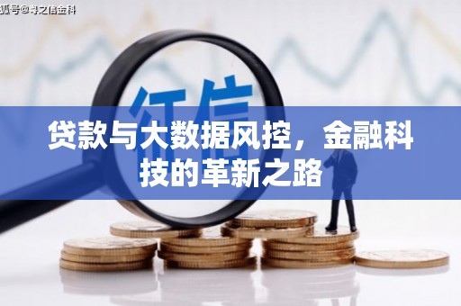 当涂贷款与大数据风控，金融科技的革新之路
