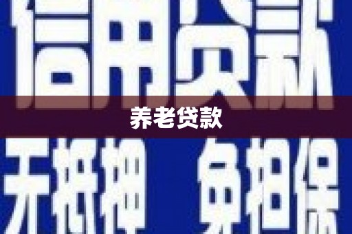 当涂养老贷款