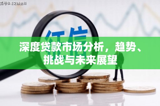 当涂深度贷款市场分析，趋势、挑战与未来展望