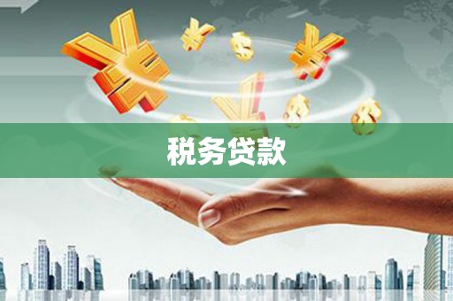 当涂税务贷款
