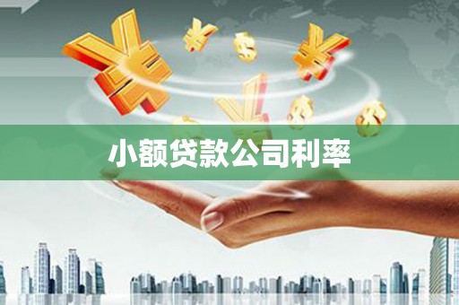 当涂小额贷款公司利率