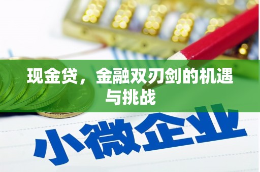 当涂现金贷，金融双刃剑的机遇与挑战