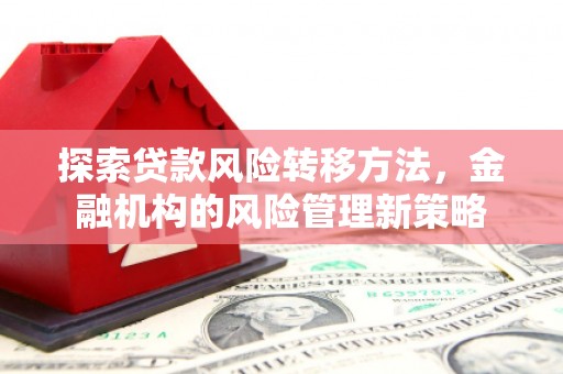 当涂探索贷款风险转移方法，金融机构的风险管理新策略