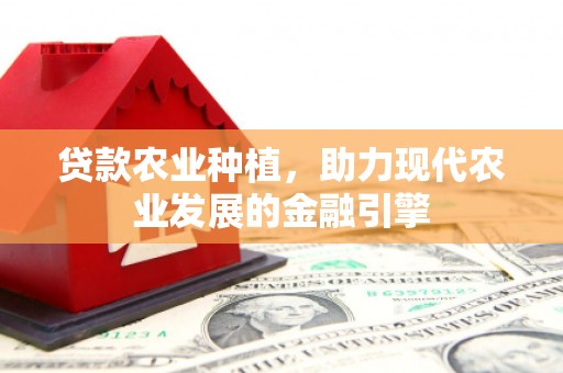 当涂贷款农业种植，助力现代农业发展的金融引擎