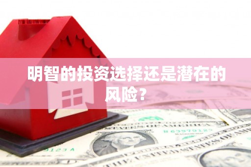 当涂明智的投资选择还是潜在的风险？