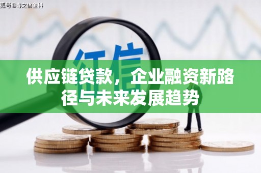 当涂供应链贷款，企业融资新路径与未来发展趋势