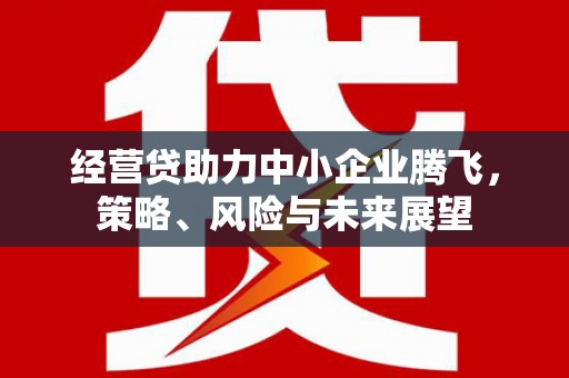 当涂经营贷助力中小企业腾飞，策略、风险与未来展望