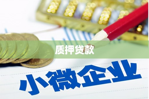 当涂质押贷款