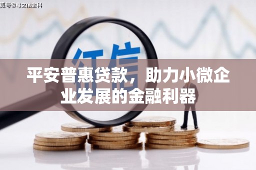 当涂平安普惠贷款，助力小微企业发展的金融利器