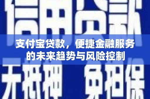 当涂支付宝贷款，便捷金融服务的未来趋势与风险控制