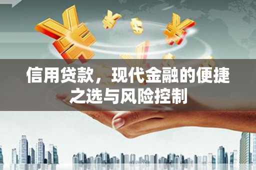 当涂信用贷款，现代金融的便捷之选与风险控制
