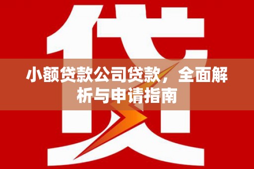 当涂小额贷款公司贷款，全面解析与申请指南