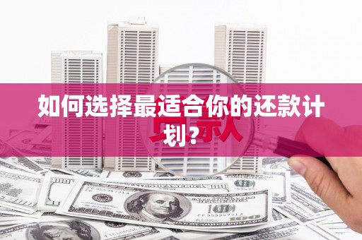 当涂如何选择最适合你的还款计划？