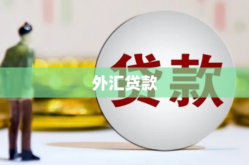当涂外汇贷款