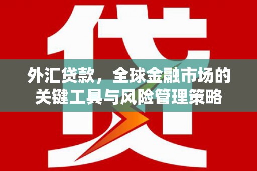 当涂外汇贷款，全球金融市场的关键工具与风险管理策略