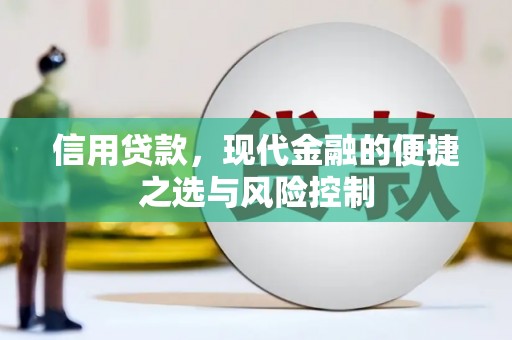 当涂信用贷款，现代金融的便捷之选与风险控制