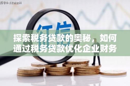 当涂探索税务贷款的奥秘，如何通过税务贷款优化企业财务