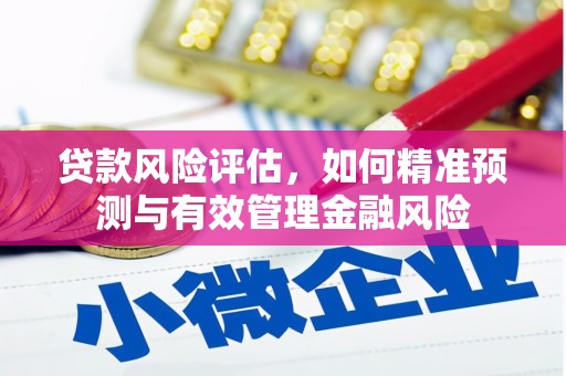 当涂贷款风险评估，如何精准预测与有效管理金融风险