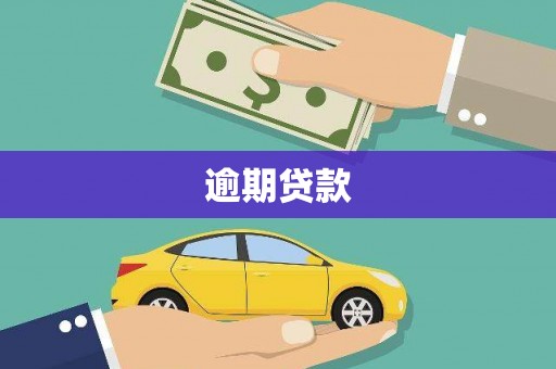 当涂逾期贷款