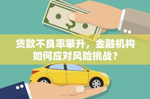 当涂贷款不良率攀升，金融机构如何应对风险挑战？