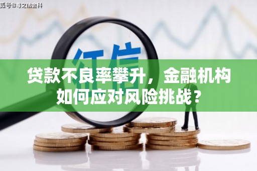 当涂贷款不良率攀升，金融机构如何应对风险挑战？
