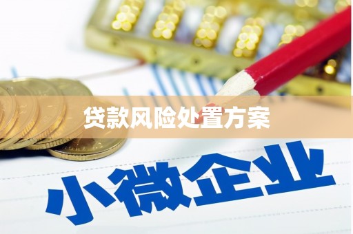 当涂贷款风险处置方案