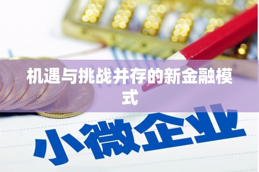 当涂机遇与挑战并存的新金融模式