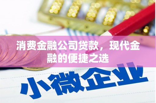 当涂消费金融公司贷款，现代金融的便捷之选
