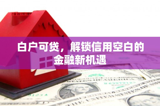 当涂白户可贷，解锁信用空白的金融新机遇